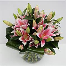Just Pink Lilies