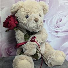 Red Rose Teddy