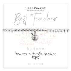 Terrific Teacher 