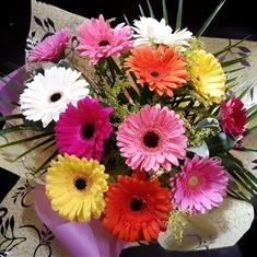 Germini Hand Tied Bouquet