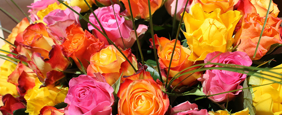 Vivid Floral Design